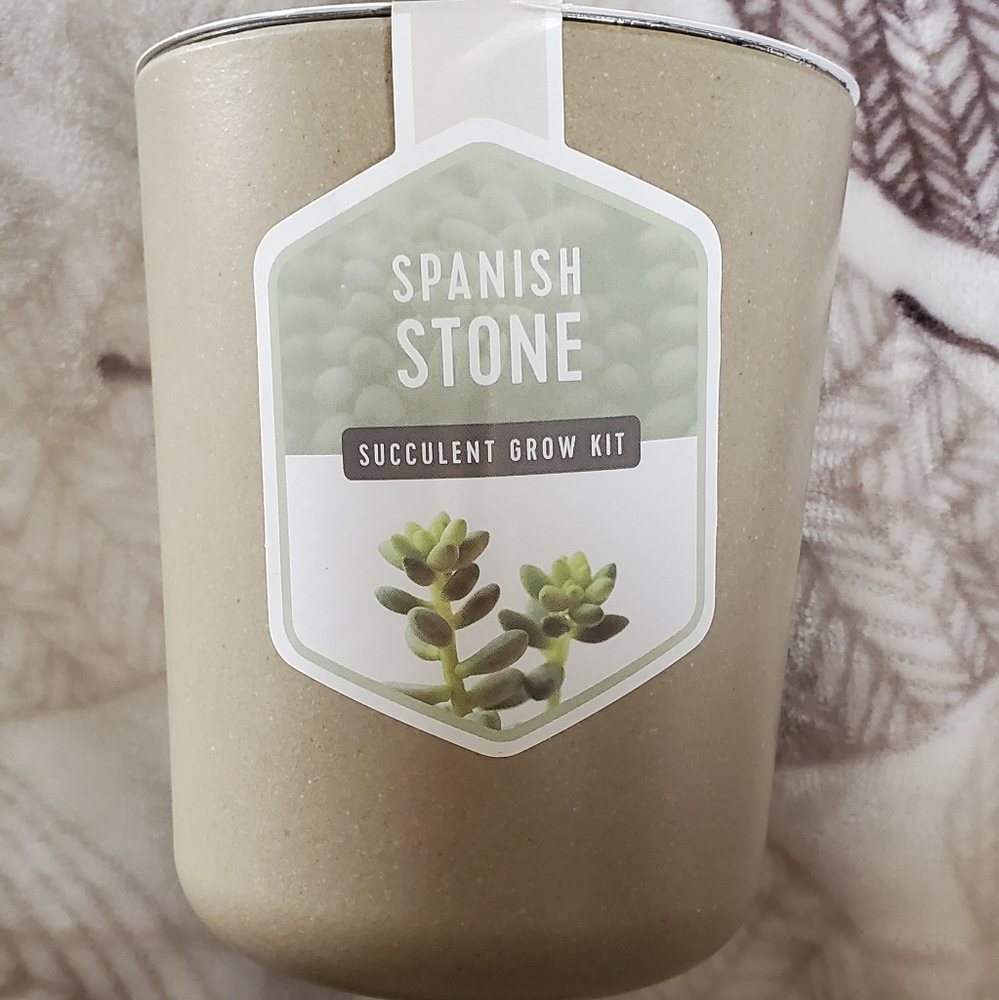 Cactus succulent tree grow kit self planter gift